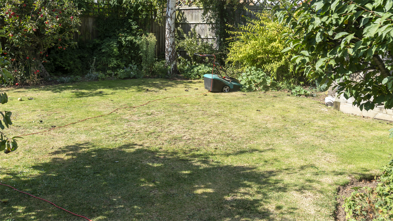 My genius hack using a household appliance lets me water my garden and avoid the £1k hosepipe ban fine