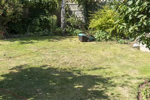 My genius hack using a household appliance lets me water my garden and avoid the £1k hosepipe ban..