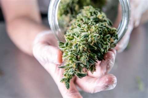 How Profitable Is A Cannabis Business In The Next Decade?