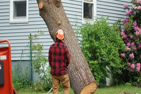 Boost Your Rental Investment Property's Value With Professional Tree Removal In Ellisville, MS