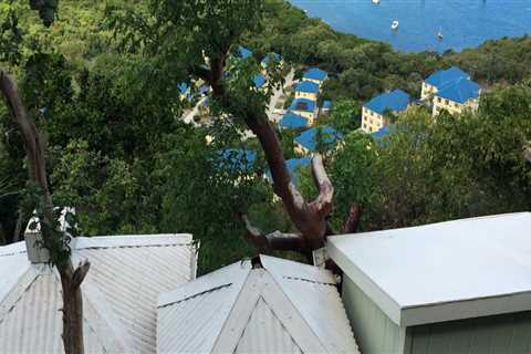 Buying Real Estate in the US Virgin Islands: Foreclosures and Short Sales