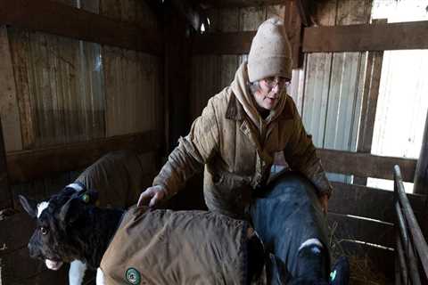 The Struggles of Dairy Farming in Eau Claire, Wisconsin