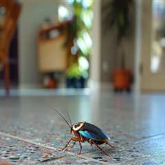 From Infestations To Inquiries: Home Selling Tips For Las Vegas With Expert Pest Exterminator..