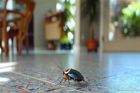 From Infestations To Inquiries: Home Selling Tips For Las Vegas With Expert Pest Exterminator..