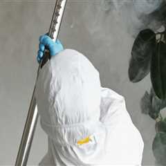 Home Selling Tips: Essential Pest Treatment Services For Home Sellers In Orlando, FL