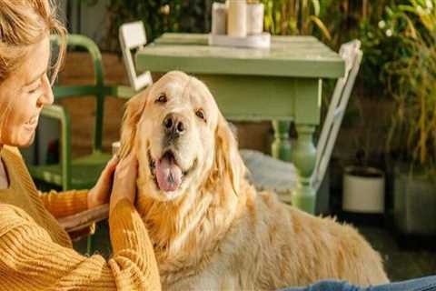 No Maintenance, All Perks: How Apt Amenities Make Choosing To Rent A Savvy Home Selling Tip For..